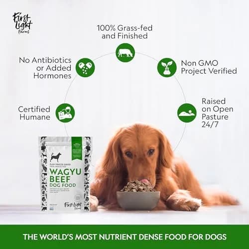 First Light Farms Freeze-Dried Wagyu Beef Dog Food Topper 0.68 kg (1.5 lb) | High Protein Treat for All Breeds thumbnail 7