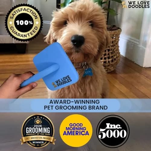 We Love Doodles Slicker Brush for Dogs, Large | Detangles & Removes Mats, Curly Coat, Blue thumbnail 8