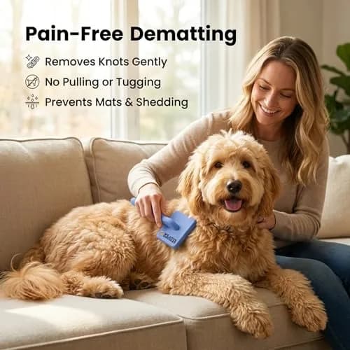 We Love Doodles Slicker Brush for Dogs, Large | Detangles & Removes Mats, Curly Coat, Blue thumbnail 2