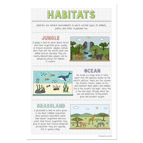 Quarterhouse Landforms and Habitats Classroom Posters Set | Educational Geography Wall Decor for K-2 Students thumbnail 9
