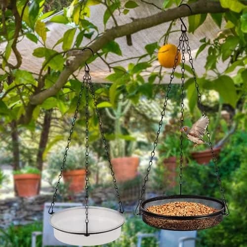 HRAYLTOP 2-in-1 Set Hanging Bird Feeder and Bath for Outdoor, Small Metal Tray | Durable Stainless Steel & Transparent Water Bowl thumbnail 6