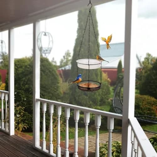 HRAYLTOP 2-in-1 Set Hanging Bird Feeder and Bath for Outdoor, Small Metal Tray | Durable Stainless Steel & Transparent Water Bowl thumbnail 7