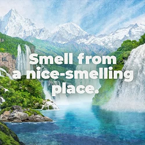 Irish Spring 5-in-1 Body Wash for Men, Eucalyptus Scent, 591ml (20 Fl Oz) | Biodegradable Cleansing Ingredients thumbnail 4