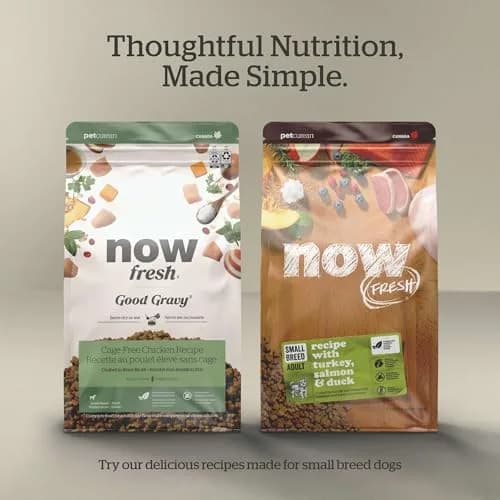 Now Fresh Grain-Free Small Breed Puppy Food with Turkey, Salmon & Duck | Supports Growth & Digestion in India thumbnail 5