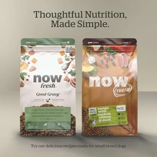 Now Fresh Small Breed Senior Dry Dog Food, Turkey, Salmon & Duck, 12 lb | Grain-Free, Supports Joints & Digestion thumbnail 5
