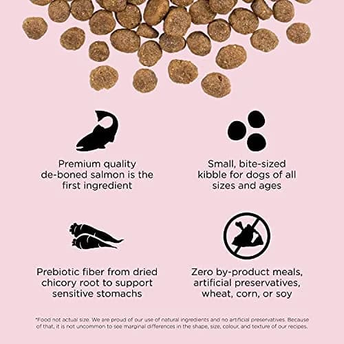 Go! Solutions Sensitivities Small Bites Salmon Grain-Free Dog Food 3.5 lb | Supports Sensitive Stomachs & Skin thumbnail 3
