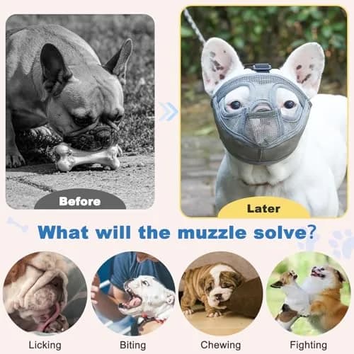 BARKLESS French Bulldog Muzzle, Full Panting Short Snout Mesh Muzzle Size S (Grey) thumbnail 6