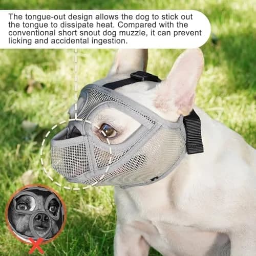 BARKLESS French Bulldog Muzzle, Full Panting Short Snout Mesh Muzzle Size S (Grey) thumbnail 2