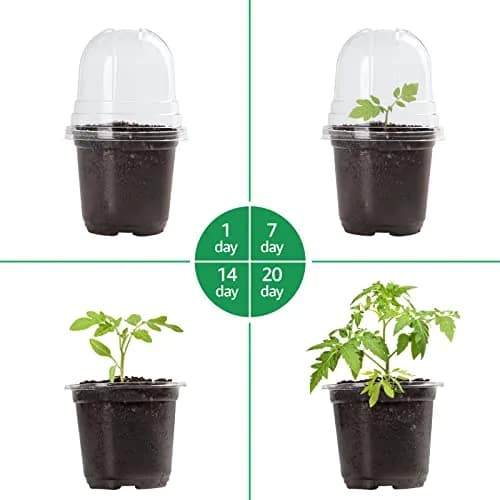 Bluepro Nursery Pots with Humidity Domes, 4 Inch | Clear Plastic for Seed Starting & Propagation thumbnail 5