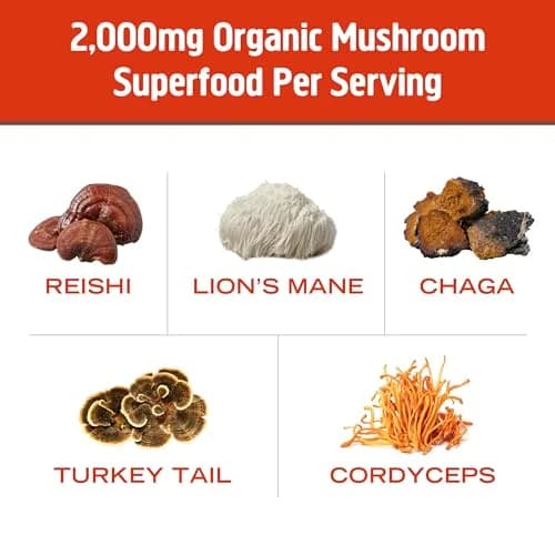 OM MUSHROOM SUPERFOOD Morning Energy Blend – Mushroom Drink Mix with Cordyceps, Lion’s Mane, Rhodiola & Vitamin D2 | Natural Energy & Focus thumbnail 4