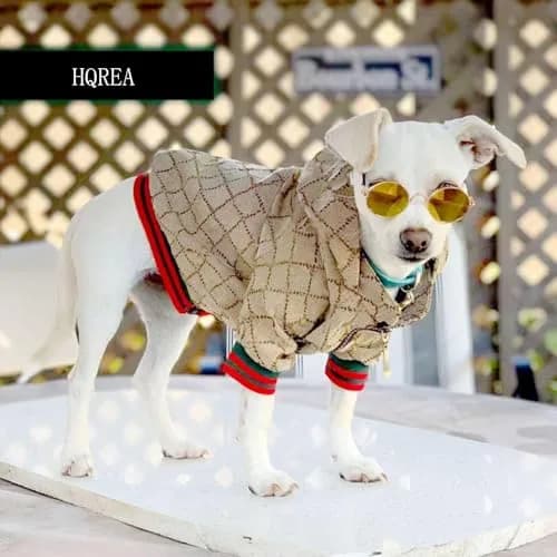 HQREA Dog Hoodie Luxury Winter Small Dog Jacket Clothes Classic Designer French Bulldog Teddy Pug XXL | Fashionable & Warm thumbnail 6
