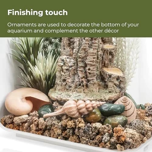 biOrb Forest Rhythm Décor Set, Silver/Green/Natural, 2.74 kg (6.04 lb) | Fish Friendly Aquarium Ornament thumbnail 7