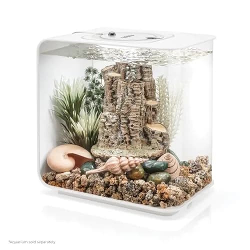 biOrb Forest Rhythm Décor Set, Silver/Green/Natural, 2.74 kg (6.04 lb) | Fish Friendly Aquarium Ornament thumbnail 2