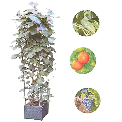 GREEN MOUNT Raised Garden Bed Planter with Trellis 41.3"H | Supports Heavy Climbing Plants thumbnail 2