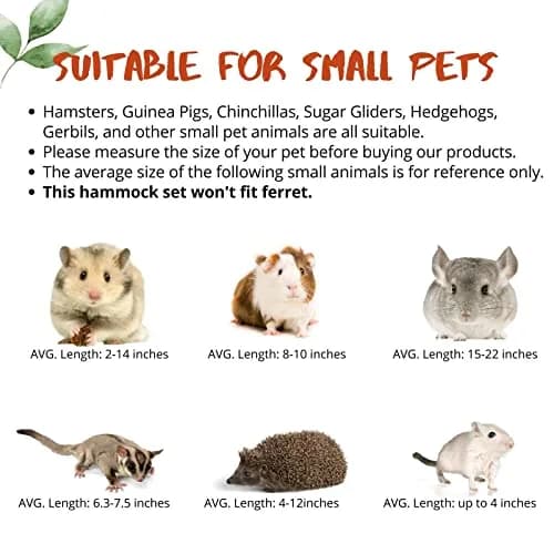 Fabmode 5Pcs Small Animal Hammock Set with Accessories | 26.9 cm (10.7 in) Hanging Cage Hideout thumbnail 6