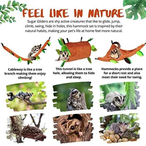 Fabmode 5Pcs Small Animal Hammock Set with Accessories | 26.9 cm (10.7 in) Hanging Cage Hideout thumbnail 3