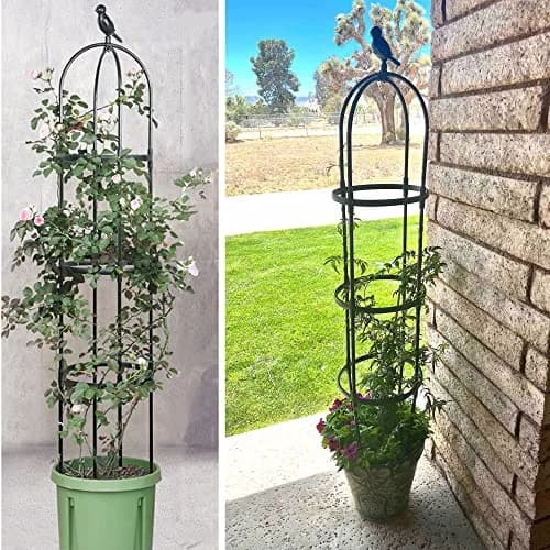 CJGQ Garden Trellis for Climbing Plants 6ft | Rustproof Metal Support Structure thumbnail 6