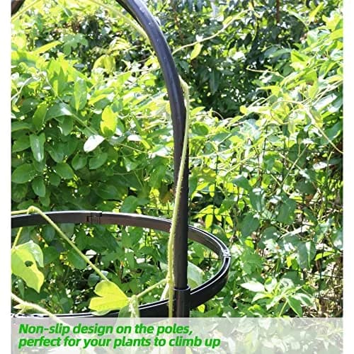 CJGQ Garden Trellis for Climbing Plants 6ft | Rustproof Metal Support Structure thumbnail 2