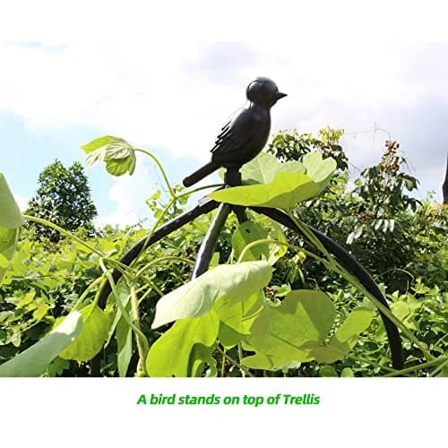 CJGQ Garden Trellis for Climbing Plants 6ft | Rustproof Metal Support Structure thumbnail 3