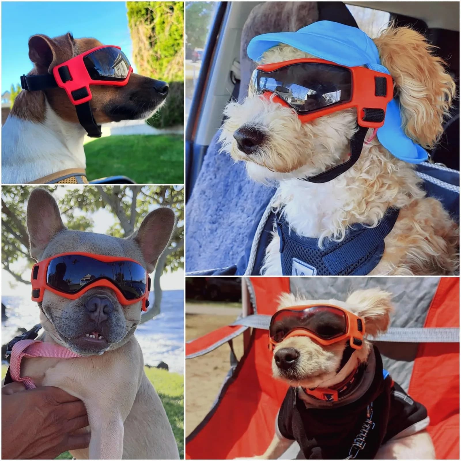 Enjoying Stylish Orange Dog Goggles for Medium Breeds with UV Protection & Windproof Design - view 2
