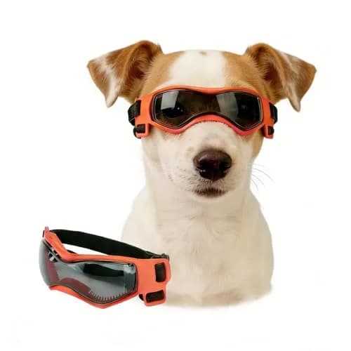 Enjoying Black Pet Apparel Dog Goggles UV Protection for Medium Breeds | Windproof & Adjustable — Stylish Orange / Medium Breeds