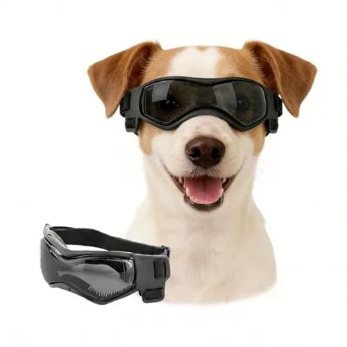 Enjoying Black Pet Apparel Dog Goggles UV Protection for Medium Breeds | Windproof & Adjustable — Stylish Black