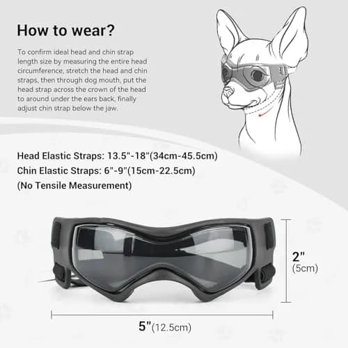 Enjoying Black Pet Apparel Dog Goggles UV Protection for Medium Breeds | Windproof & Adjustable thumbnail 5