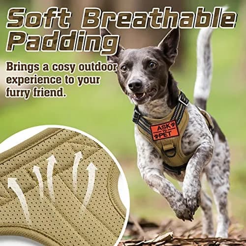 rabbitgoo Tactical Dog Harness for X-Large | No Pull Military Service Vest with MOLLE System thumbnail 5