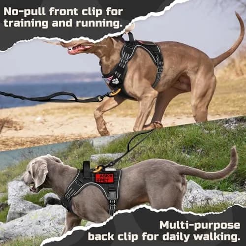 rabbitgoo Tactical Dog Harness for X-Large | No Pull Military Service Vest with MOLLE & Reflective Strips thumbnail 4