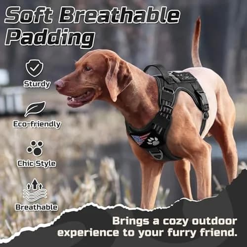 rabbitgoo Tactical Dog Harness for X-Large | No Pull Military Service Vest with MOLLE & Reflective Strips thumbnail 6