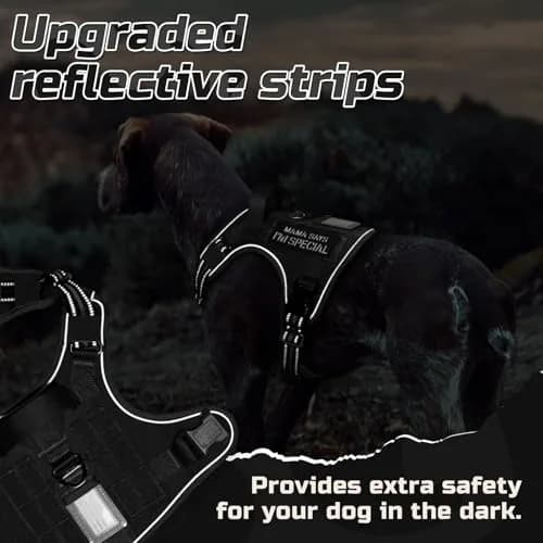 rabbitgoo Tactical Dog Harness for X-Large | No Pull Military Service Vest with MOLLE & Reflective Strips thumbnail 7