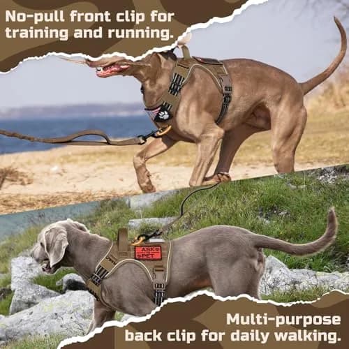rabbitgoo Tactical Dog Harness for Medium | No Pull Military Service Vest with Reflective Strips thumbnail 7