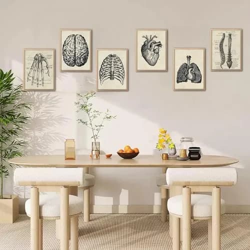 Ohhvvow Human Anatomy Wall Art Set of 6 Canvas Prints 8"x10" | Medical Skeleton Decor for Study & Office thumbnail 9