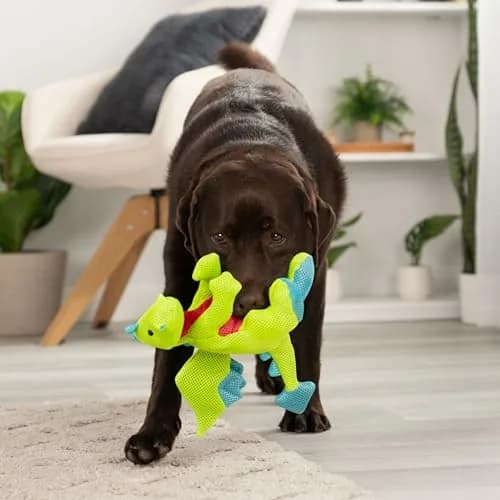 goDog Dragons Squeaky Plush Dog Toy with Double Chew Guard Technology, Large, Green | Durable Fabric & Active Play thumbnail 8