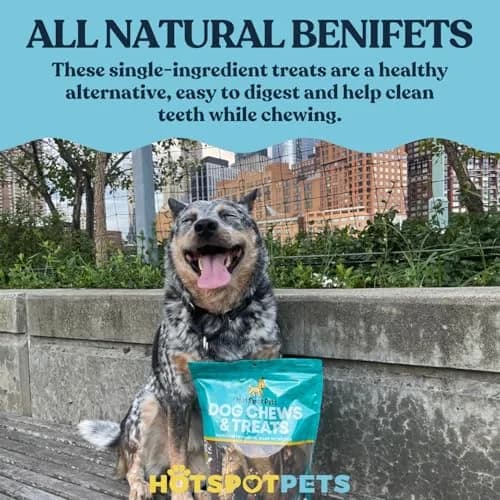 hotspot pets All-Natural Cow Ears Dog Chews (50 Pack) | Long-Lasting, Single Ingredient Treat for Healthy Teeth & Gums thumbnail 8