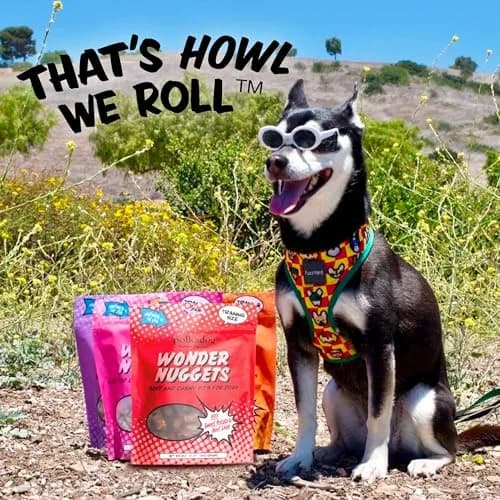 Polkadog Sweet Potato & Beef Wonder Nuggets | Soft & Chewy Dog Treats for All Breeds thumbnail 7