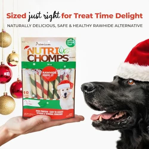 NutriChomps Rawhide-Free Dog Chews, 5 in Twists, Mint, 10 Count | Healthy, Digestible, Dental Support thumbnail 4