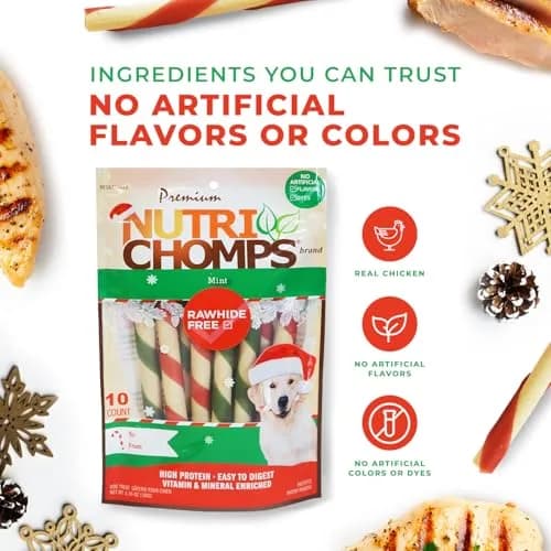 NutriChomps Rawhide-Free Dog Chews, 5 in Twists, Mint, 10 Count | Healthy, Digestible, Dental Support thumbnail 5