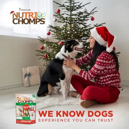 NutriChomps Rawhide-Free Dog Chews, 5 in Twists, Mint, 10 Count | Healthy, Digestible, Dental Support thumbnail 6