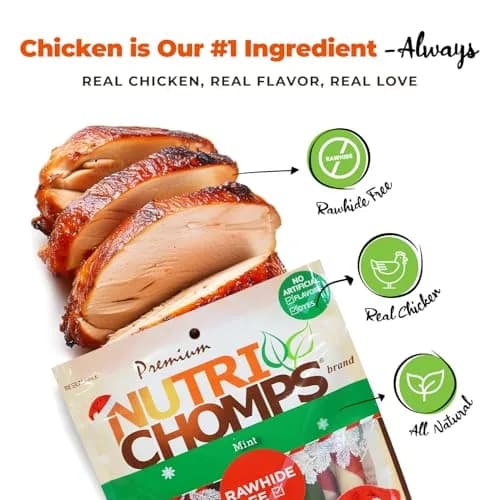 NutriChomps Rawhide-Free Dog Chews, 5 in Twists, Mint, 10 Count | Healthy, Digestible, Dental Support thumbnail 2