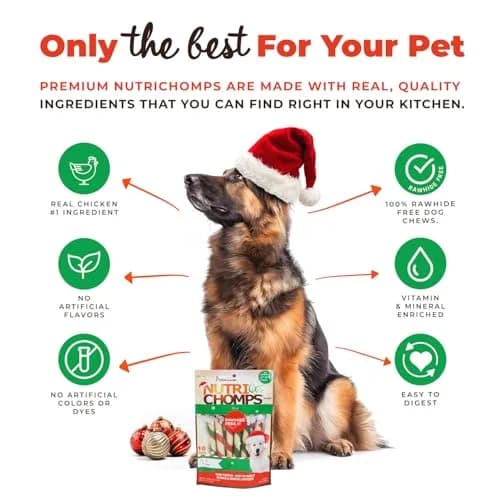 NutriChomps Rawhide-Free Dog Chews, 5 in Twists, Mint, 10 Count | Healthy, Digestible, Dental Support thumbnail 3