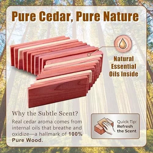 Cedar Space Cedar Blocks for Clothes Storage, 32 PCS Aromatic Red Cedar Wood Planks | Natural Moth Repellent for Closets & Drawers thumbnail 6