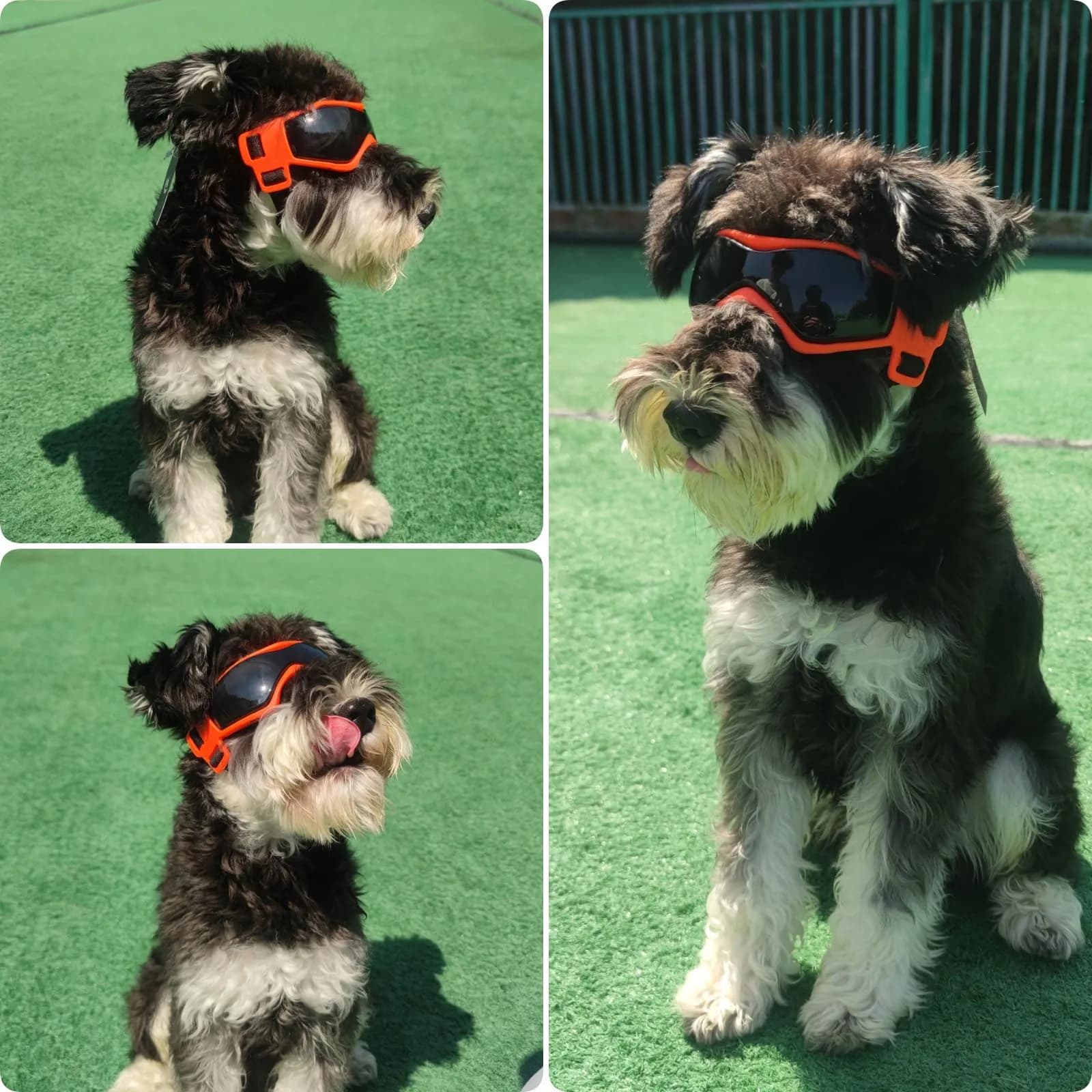 PETLESO Dog Goggles for Small to Medium Breed, Anti-UV Dog Sunglasses 5" L x 2" W | Sporty Orange Pet Eyewear - view 8