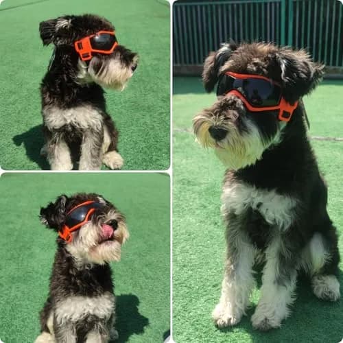 PETLESO Dog Goggles for Small to Medium Breed, Anti-UV Dog Sunglasses 5" L x 2" W | Sporty Orange Pet Eyewear thumbnail 8