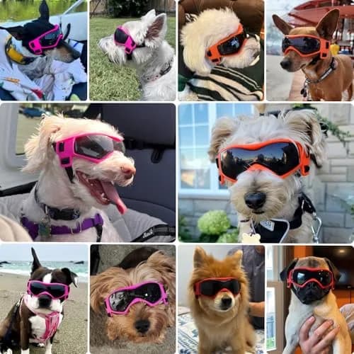 PETLESO Dog Goggles for Small to Medium Breed, Anti-UV Dog Sunglasses 5" L x 2" W | Sporty Orange Pet Eyewear thumbnail 2