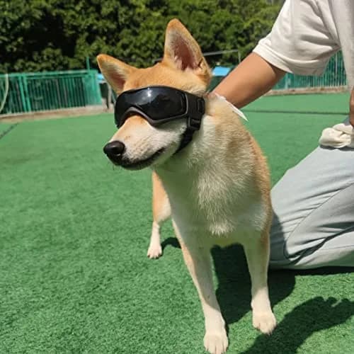 PETLESO Black Dog Goggles for Medium Breeds | UV Protection, Windproof, Adjustable Straps (Size M) thumbnail 7
