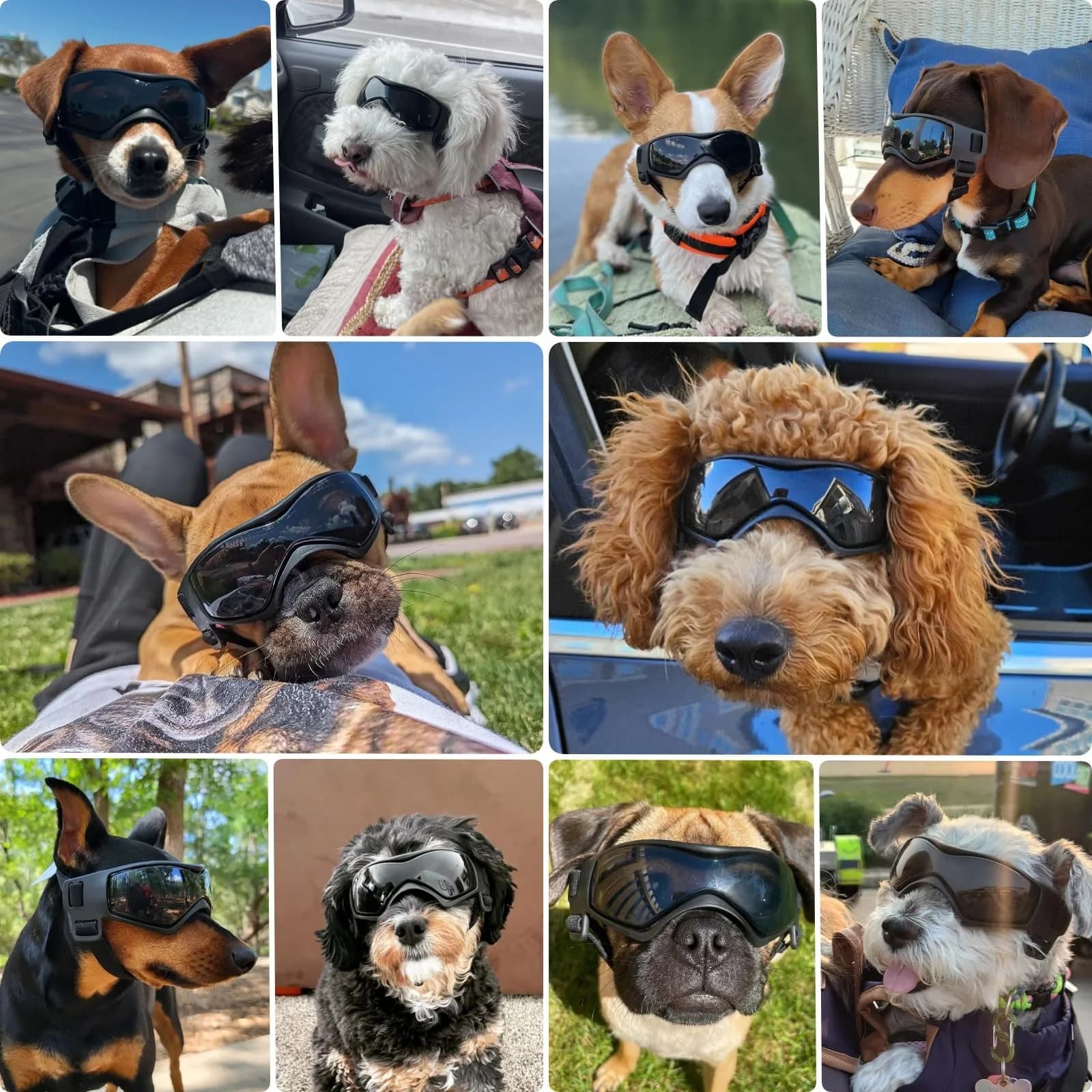 PETLESO Medium Black Dog Goggles - Anti-UV Pet Sunglasses for Small to Medium Breeds - view 2
