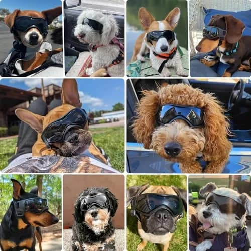 PETLESO Black Dog Goggles for Medium Breeds | UV Protection, Windproof, Adjustable Straps (Size M) thumbnail 2