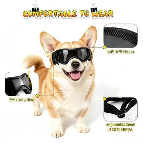 PETLESO Black Dog Goggles for Medium Breeds | UV Protection, Windproof, Adjustable Straps (Size M) thumbnail 3