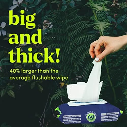 goodwipes Flushable Wipes for Adults, 60 Count (Pack of 8) Cedar Scent | Septic & Sewer Safe XL Wipes thumbnail 3